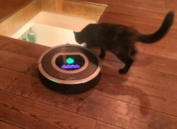 iRobot Roomba 782 Staubsauger Roboter mit Katzenhaaren Reinigung auf Holzdielen