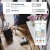 Neato Robotics D750 Saugroboter Premium-Paket, Eckenreinigung mit exklusivem Haustierzubehör für Teppiche und Hartböden, App/Alexa kompatibel - 9